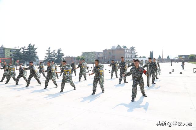 【践行新使命 忠诚保大庆】大荔县公安局荣膺全县“2019年度民兵轮训备勤军事训练先进单位”