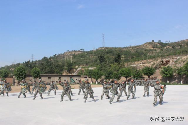 【践行新使命 忠诚保大庆】大荔县公安局荣膺全县“2019年度民兵轮训备勤军事训练先进单位”