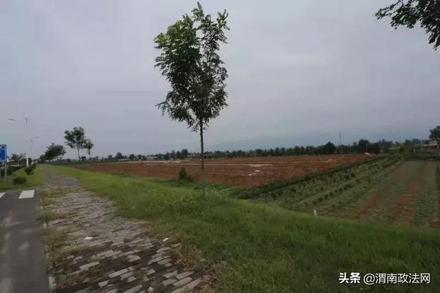 华阴检察：建设美丽乡村 共筑文明家园