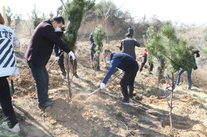韩城市检察院组织干警开展植树活动。