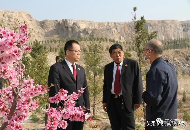 蒲城县检察院检察长吉红东一行调研蒲城县卧虎山关停石渣场区域植被恢复建设项目