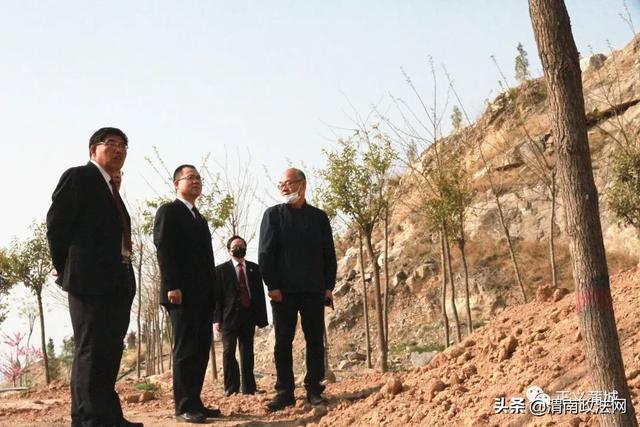 蒲城县检察院检察长吉红东一行调研蒲城县卧虎山关停石渣场区域植被恢复建设项目