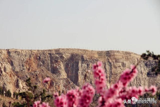 蒲城县检察院检察长吉红东一行调研蒲城县卧虎山关停石渣场区域植被恢复建设项目