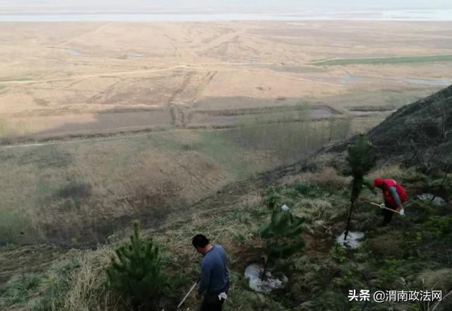 韩城市检察院率先完成黄河生态防护林建设工作