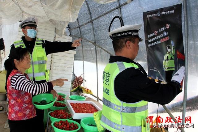 临渭交警:交安宣传进大棚(组图)