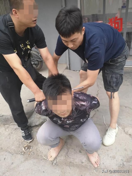 抓获343人！缴毒1557.87余克！“秦东猎毒战队”收网行动战绩卓著