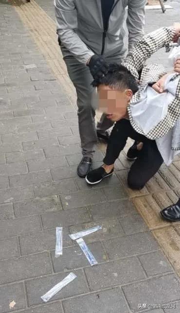 抓获343人！缴毒1557.87余克！“秦东猎毒战队”收网行动战绩卓著