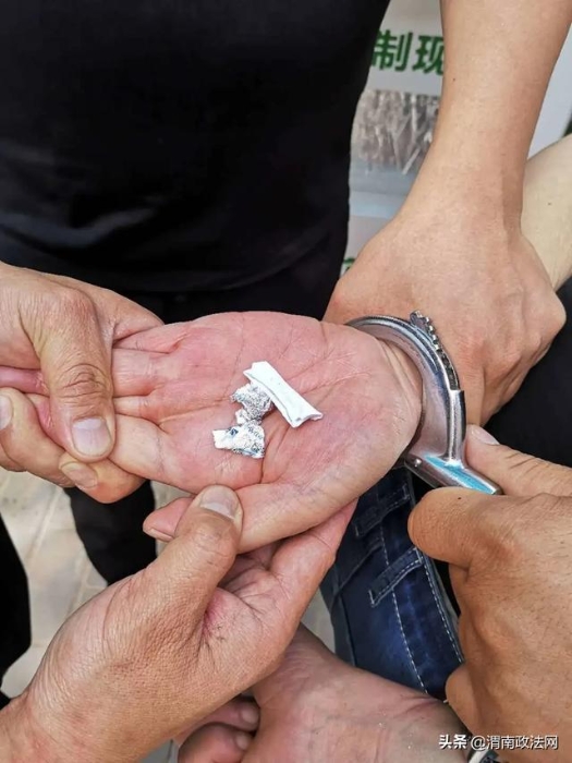 抓获343人！缴毒1557.87余克！“秦东猎毒战队”收网行动战绩卓著