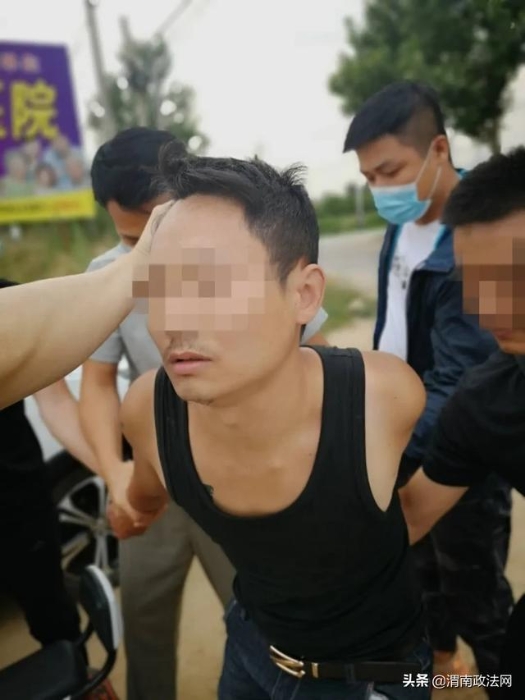 抓获343人！缴毒1557.87余克！“秦东猎毒战队”收网行动战绩卓著