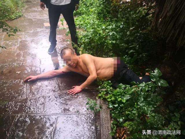 抓获343人！缴毒1557.87余克！“秦东猎毒战队”收网行动战绩卓著