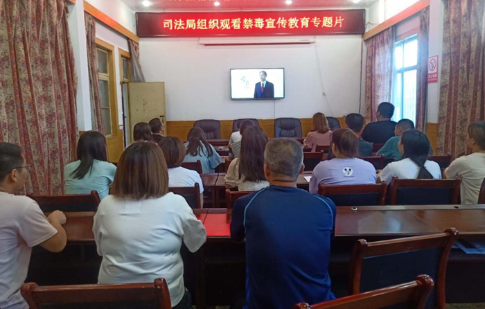 近日，潼关县司法局组织全体干部职工在局三楼会议室集中观看禁毒宣传教育专题片及公益宣传视频。