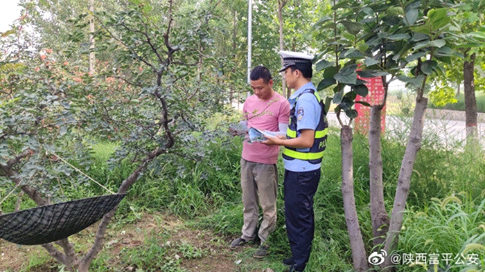 7月28日，富平公安交警曹村中队民警走进田间地头，为椒农送上一堂交通安全知识课。