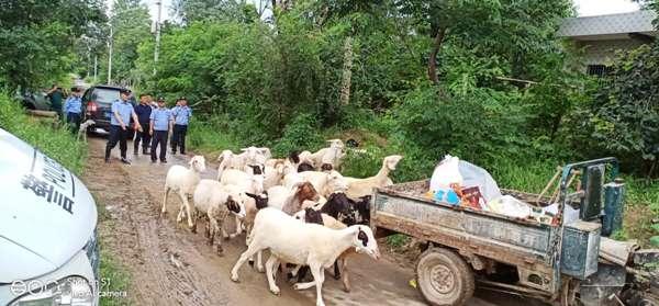 渭南公安高新分局全力奋战西庆屯村防洪抢险工作