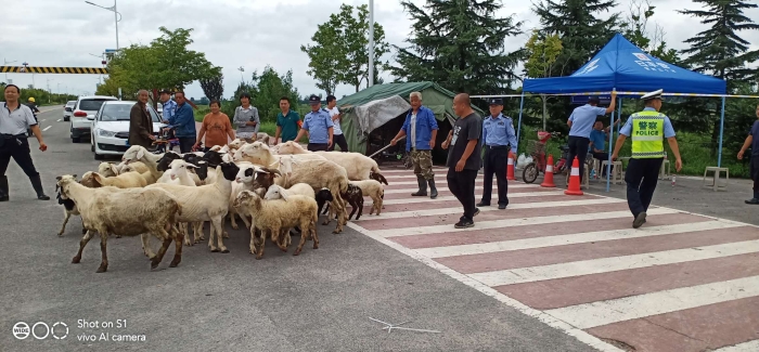 微信图片_202008191618322 微信图片_202008191618322