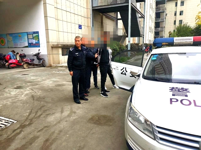 近日，临渭分局杜桥派出所民警抓获两名网上逃犯。