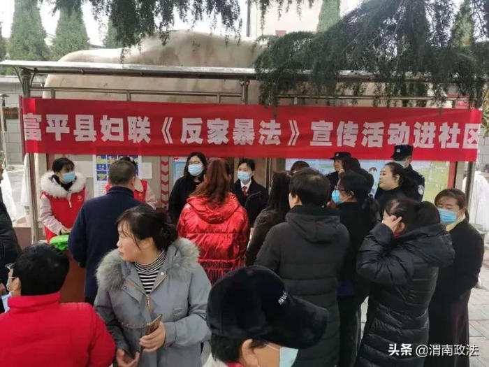 11月25日，富平法院联合县妇联、县公安局开展了“反对家庭暴力，共创平安和谐家庭”主题宣传活动。