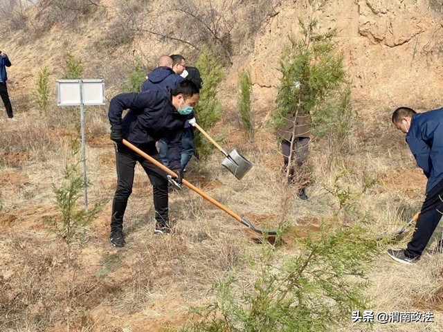 3月13日 渭南政法一线微报（组图）