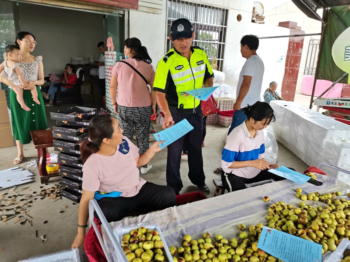 7月20日，大荔交警大队两宜中队民警走进双泉镇相底村，对广大果农进行交通安全宣传。