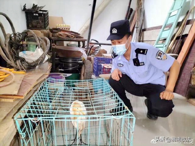 9月1日 渭南政法一线微报（组图）