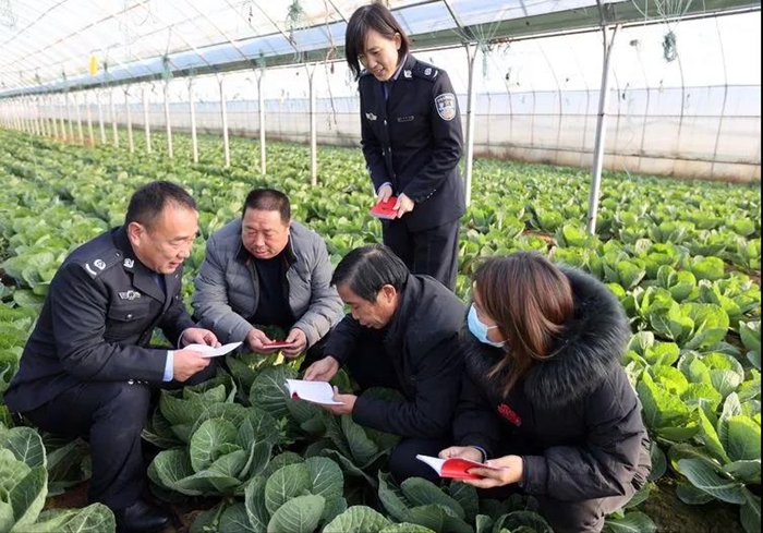 12月1日 渭南政法一线微报（组图）