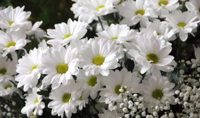 怀念屈顺农老师