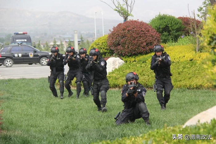 2月12日 渭南政法一线微报（组图）