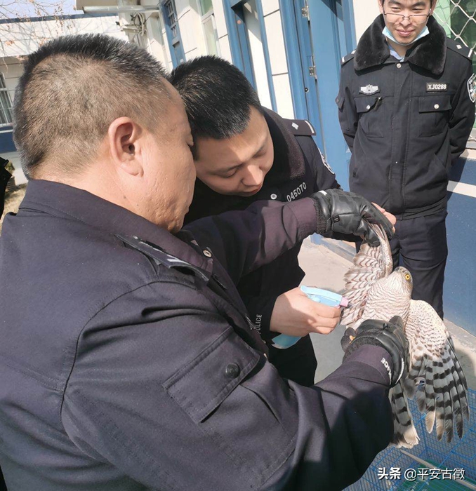 2月12日 渭南政法一线微报（组图）