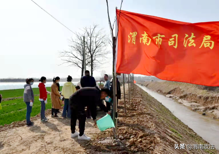 渭南市司法局开展义务植树活动(图)