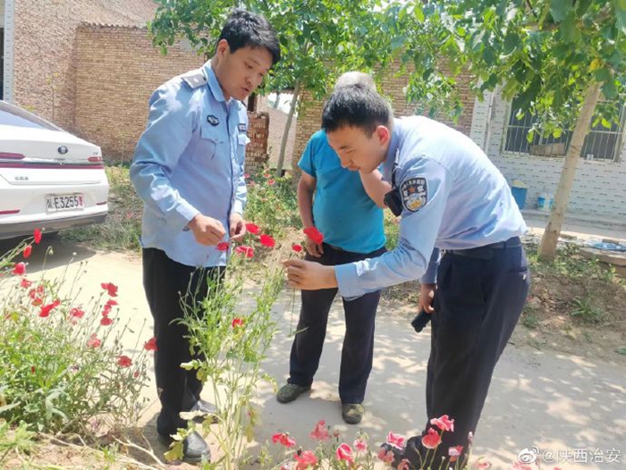 2022年5月23日 渭南政法一线微报（组图）