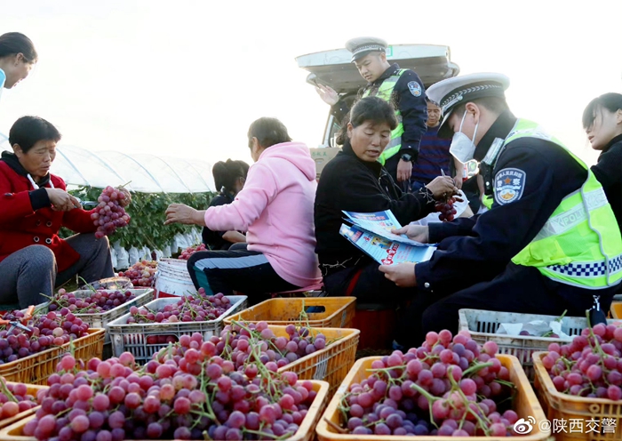 临渭交警深入瓜果种植田和生产基地宣传交通安全知识。