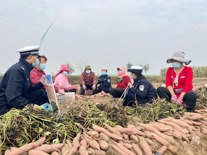 大荔交警深入红薯大田宣传交通安全。