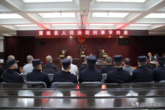 4月13日,蒲城法院刑事审判庭公开审理了一起16人团伙盗墓案。 4月13日,蒲城法院刑事审判庭公开审理了一起16人团伙盗墓案。