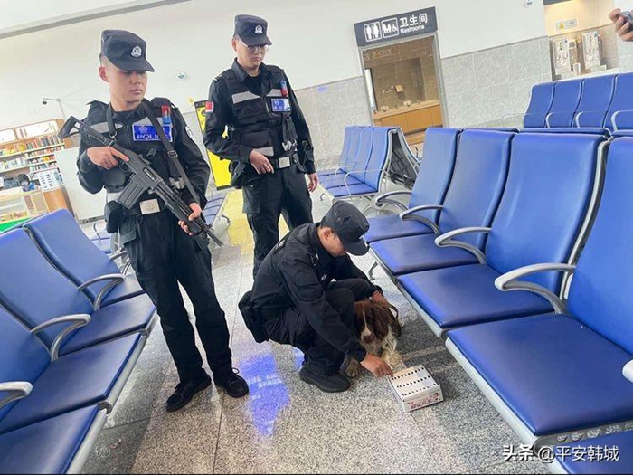 韓城公安巡特警開展警犬搜排爆實戰演練。