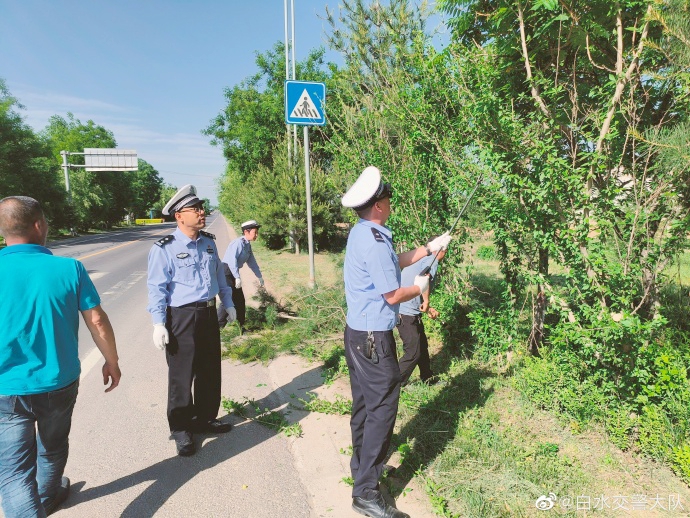 白水交警队路边遮挡交通安全标志的树木进行清理。