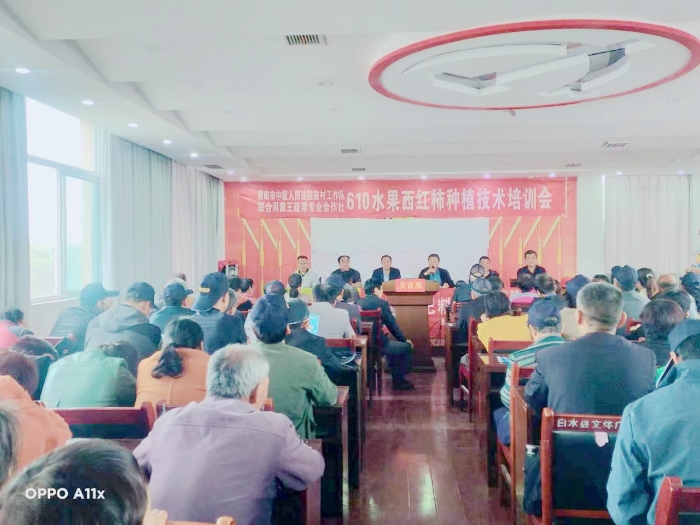 渭南中院驻村工作队举办西红柿种植技术培训会.