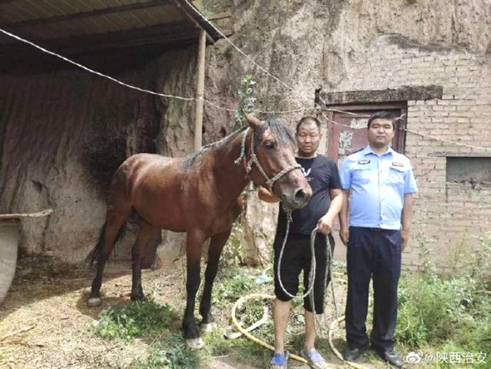 马儿任性“离家出走” ，警民携手成功找回。