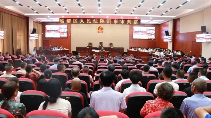 临渭法院公开开庭审理一起电信诈骗案。