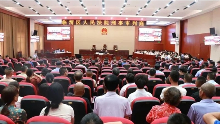 临渭法院公开开庭审理一起电信诈骗案。