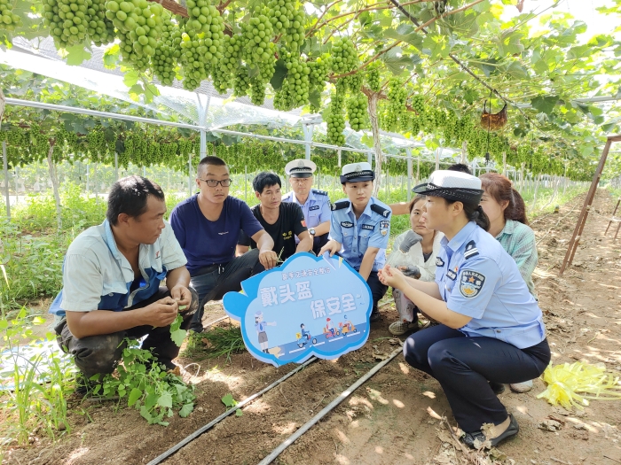 大荔公安交警深入葡萄园开展交通安全宣传活动。