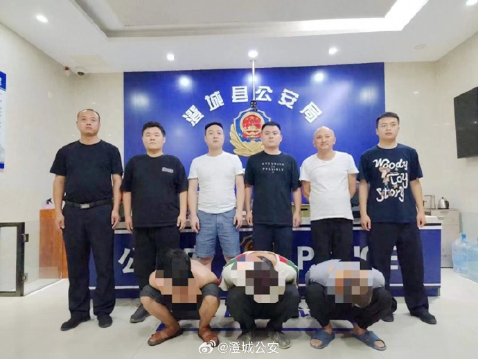 澄城公安抓获盗窃犯罪嫌疑人。