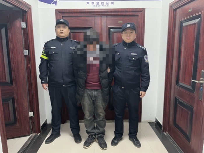 合阳公安抓获一名网逃。