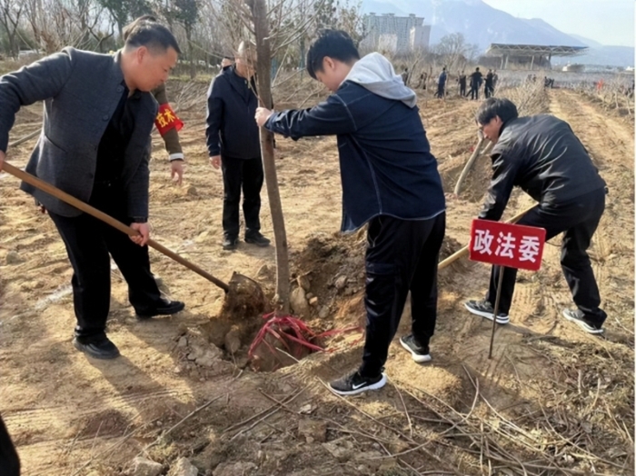 华州区委政法委开展新春义务植树活动。