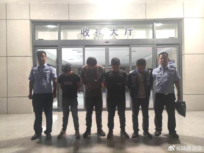 富平公安抓获4名盗狗贼。