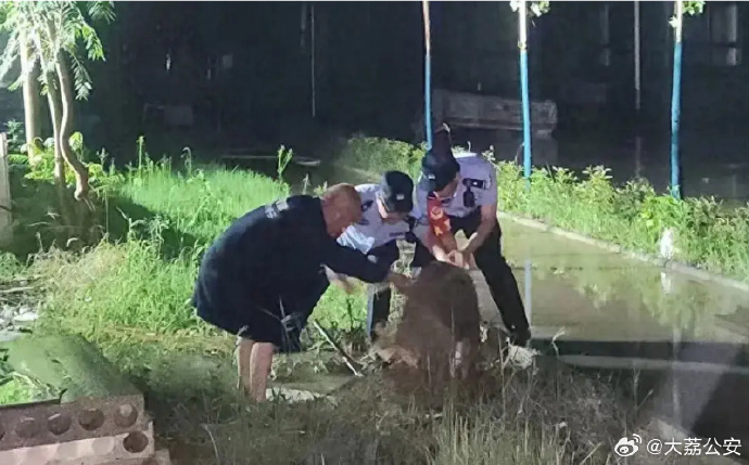 大荔交警帮助群众清除厂房内外积水.