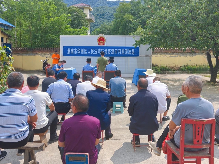 华州区法院环境资源审判巡回法庭在金堆镇林场公开开庭审理了一起盗伐林木案件。