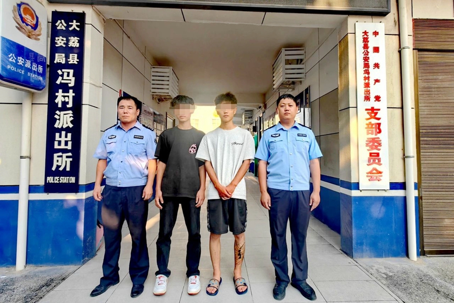大荔公安破获系列盗窃黄花菜案。