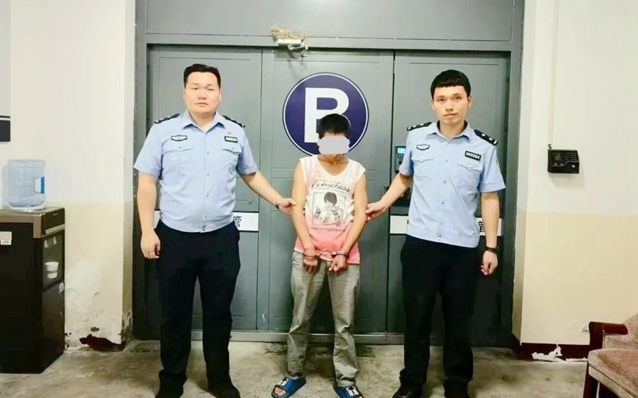 潼关公安太要派出所快速破获一起盗窃手机案件。
