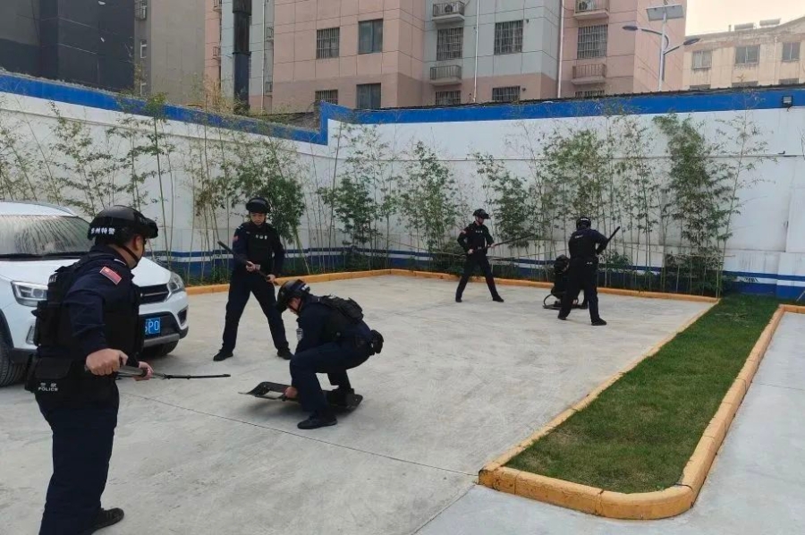 微信图片_20241112090511