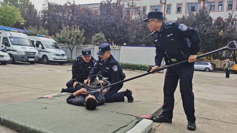 微信图片_20241112090528
