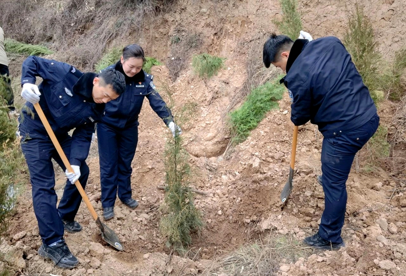 华州区法院开展“美驻柳枝  绿满华州”主题义务植树活动。